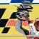 Casey Stoner raced to victory in the Indianapolis